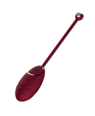Œuf vibrant rouge avec télécommande USB 